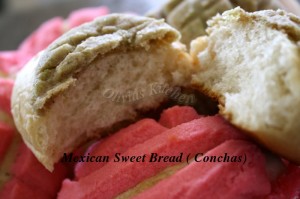 conchas2