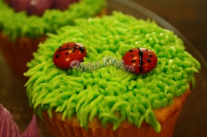 vanilla cupcakes lady bug